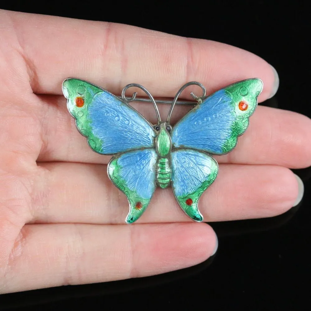 Antique Victorian Butterfly Enamel Brooch Circa 1900